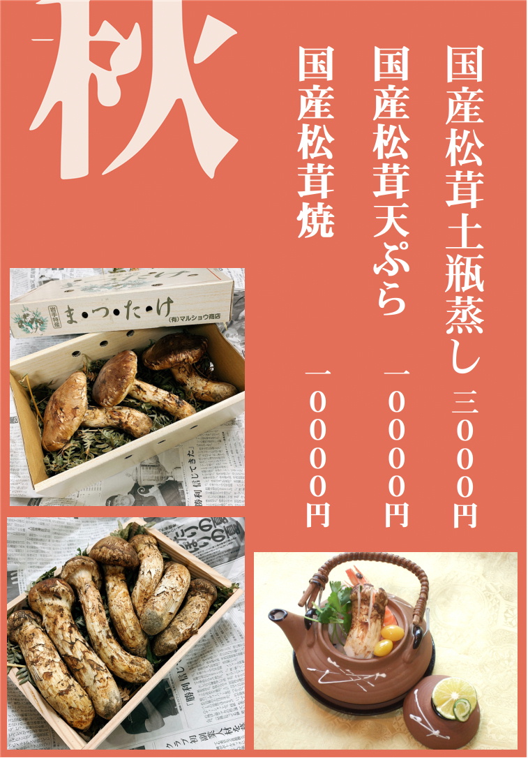 J1uv80 Ow5sx8m J1uv80 Ow5sx8m